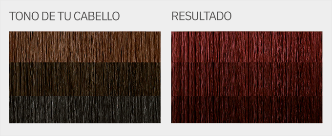 Tono 4.6 como me queda